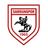 Logo of Samsunspor U19