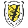 Logo of NK Radomlje U19