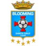 Logo of Blooming