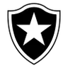 Logo of Botafogo RJ (Youth)