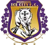 Logo of Heilongjiang Ice City
