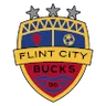 Logo of Flint City Bucks