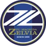 Logo of Machida Zelvia