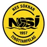 Logo of NSI Runavik II