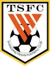 Logo of Shandong Taishan FC