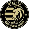Logo of Wenzhou Professional Football Club